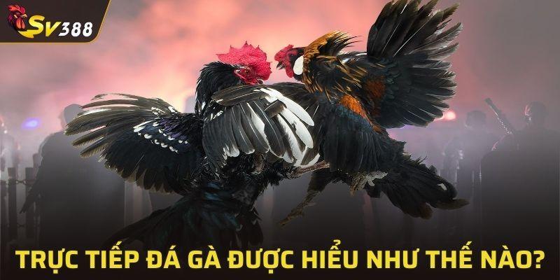Một số điều đơn giản của trực tiếp đá gà
